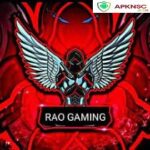 RAO Gamer Injector