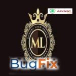 Bug Fix ML