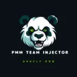 PMM Team