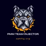 PMM Team Injector
