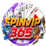 Spin VIP 365